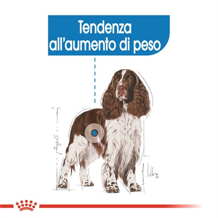 Royal Canin Medium Light Weight Care 12 kg Per Cane in Cani
