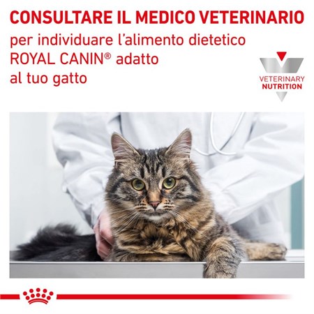 Royal Canin Gastro Intestinal Kitten 195 gr Umido Gatto in Gatti