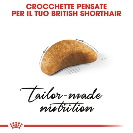 Royal Canin British Shorthair Kitten 2 kg in Gatti