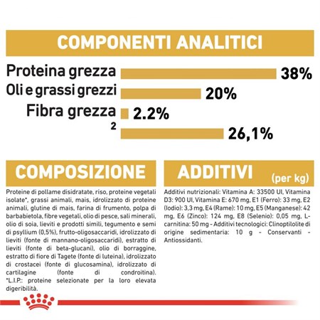 Royal Canin British Shorthair Kitten 2 kg in Gatti