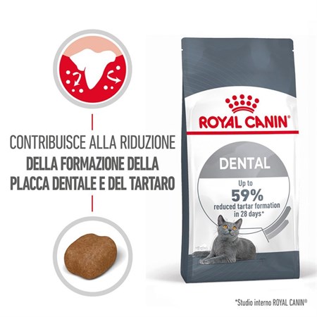 Royal Canin Dental Care 400 gr per Gatto in Gatti