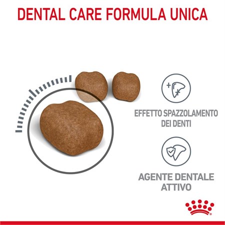 Royal Canin Dental Care 400 gr per Gatto in Gatti