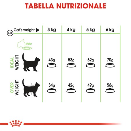 Royal Canin Digestive Care 400 gr Gatto in Gatti