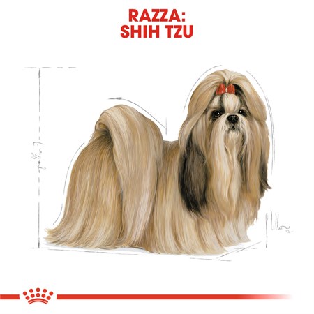Royal Canin Shih Tzu Adult 1,5 kg in Cani