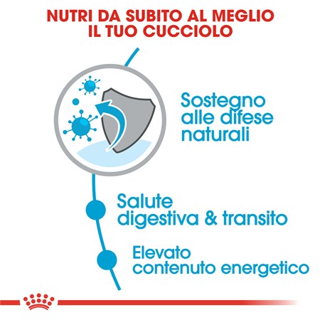 Royal Canin X Small Puppy 500 gr per Cani Cuccioli in Cani