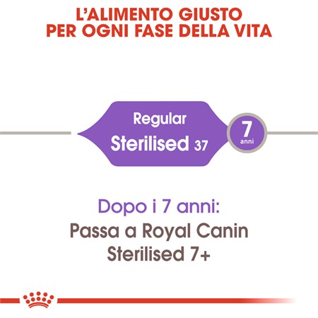Royal Canin Sterilised 400 gr Gatto in Gatti