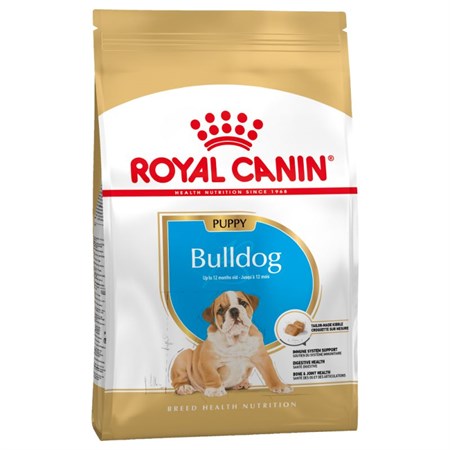 Royal Canin Bulldog Inglese Puppy 12 kg in Cani