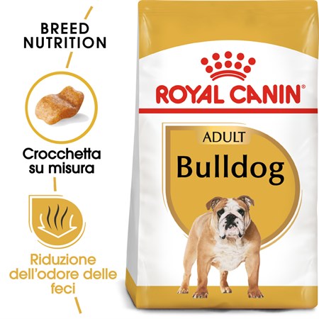Royal Canin Bulldog Inglese Adult kg 12 in Cani