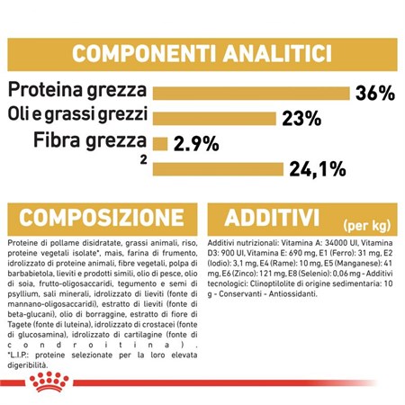 Royal Canin Kitten Maine Coon 400 gr in Gatti