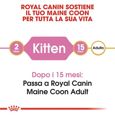 Royal Canin Kitten Maine Coon 400 gr in Gatti