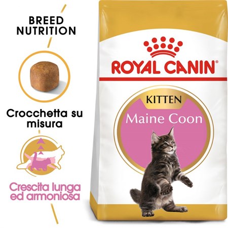 Royal Canin Kitten Maine Coon 2 kg in Gatti