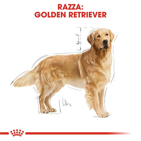 Royal Canin Golden Retriever Adult 12 kg in Cani