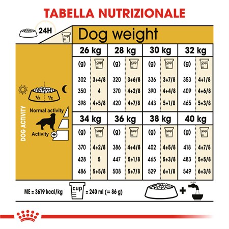 Royal Canin Golden Retriever Adult 12 kg in Cani