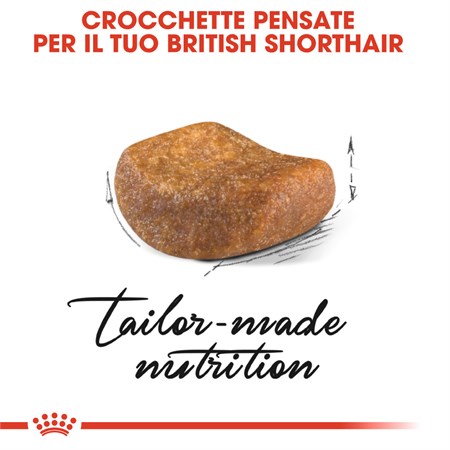 Royal Canin British Shorthair Adult 2 kg in Gatti