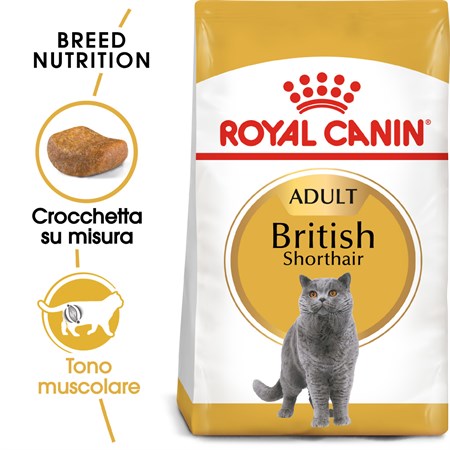 Royal Canin British Shorthair Adult 2 kg in Gatti