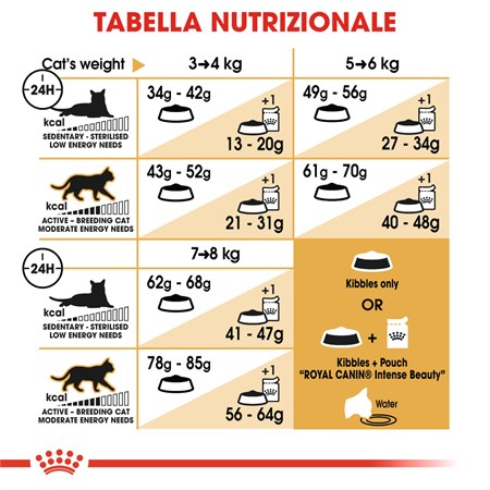 Royal Canin Ragdoll Adult 2 Kg Alimentazione Gatto in Gatti