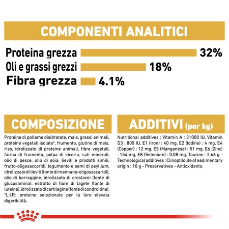 Royal Canin Ragdoll Adult 2 Kg Alimentazione Gatto in Gatti