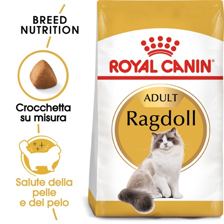 Royal Canin Ragdoll Adult 2 Kg Alimentazione Gatto in Gatti