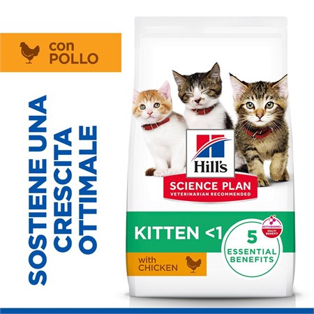 Hill's Science Plan Gatto Kitten Pollo gr 300 in Gatti