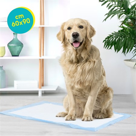 Record Tapiss 400 Tappetini Assorbenti Per Cani 60 x 90 in Cani