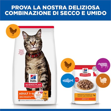 Hill's Science Plan Adult Pollo 10 kg Gatto in Gatti