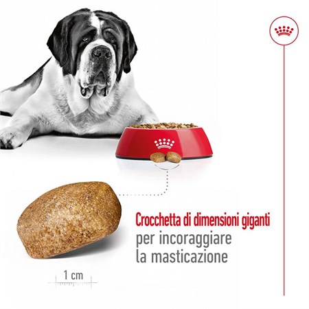 Royal Canin Giant Adult 4 kg Per Cane in Cani