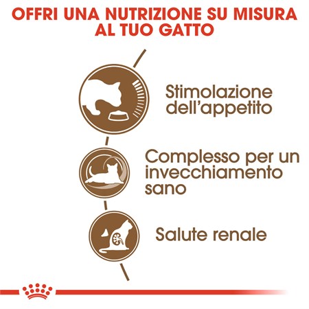 Royal Canin Senior Ageing 12+ 400 gr Crocchette Gatto Anziano in Gatti