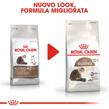 Royal Canin Senior Ageing 12+ 400 gr Crocchette Gatto Anziano in Gatti