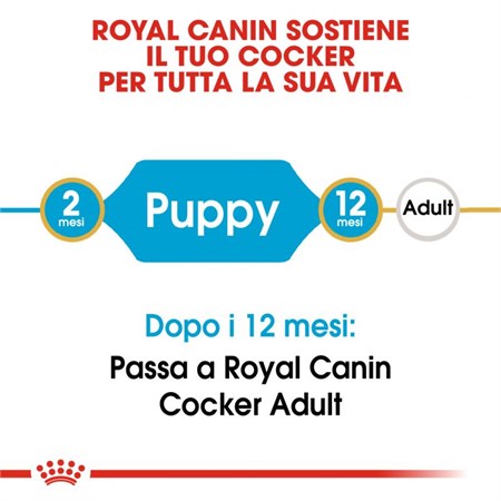Royal Canin Cocker Puppy 3 kg Crocchette Cani in Cani