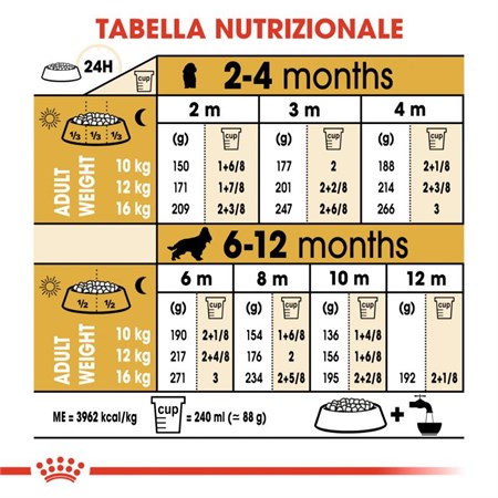 Royal Canin Cocker Puppy 3 kg Crocchette Cani in Cani