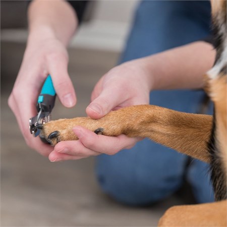 Tagliaunghie Trixie De Luxe 13cm Per Cani Gatti in Gatti