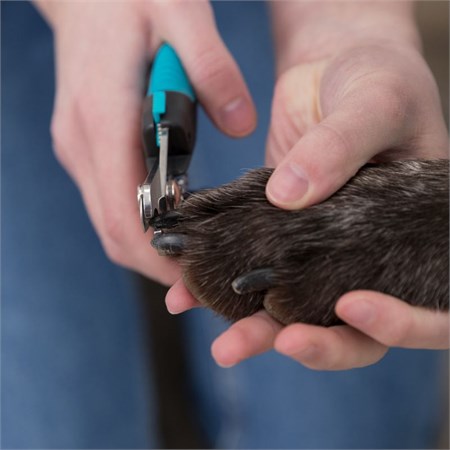 Tagliaunghie Trixie De Luxe 13cm Per Cani Gatti in Gatti