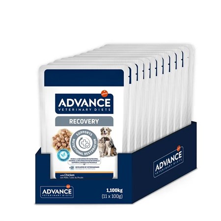 Advance Veterinary Diets Recovery 100 gr Alimento Umido Cani Gatti in Gatti