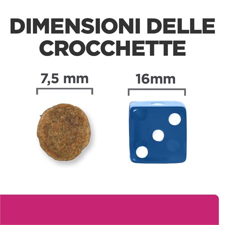 Hill's Prescription Diet GASTRO INTESTINAL Biome MINI 1 kg per Cane in Cani