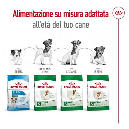 Royal Canin Mini Adult kg 2 in Cani