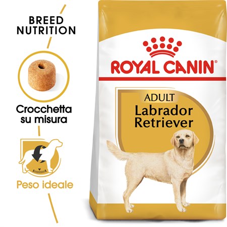 Royal Canin Labrador Retriever Adult 3 kg Cibo Per Cani di Razza in Cani