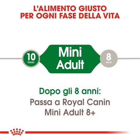 Royal Canin Mini Adult 8 kg per cane in Cani
