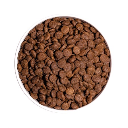 Ownat Classic Mini Adult 4 kg Crocchette Per Cani in Cani