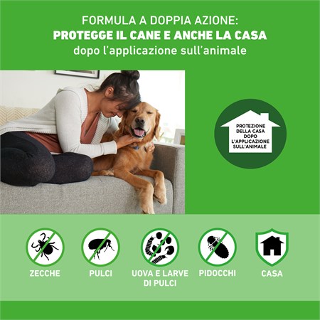 Frontline Combo Per Cani XL oltre 40 - 60 kg 3 Pipette in Cani
