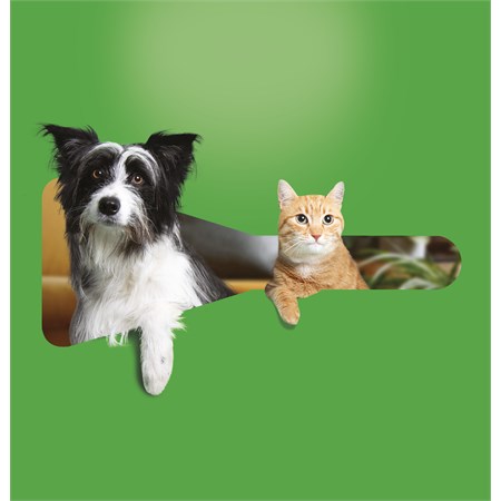 Frontline Combo Per Gatti 3 Pipette da 0,5 ml in Gatti