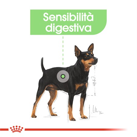 Royal Canin Mini Digestive Care 8 Kg in Cani