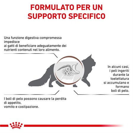 Royal Canin GASTRO INTESTINAL Hairball Veterinary 400 gr Crocchette per gatti in Gatti
