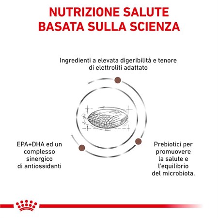 Royal Canin GASTRO INTESTINAL Hairball Veterinary 400 gr Crocchette per gatti in Gatti