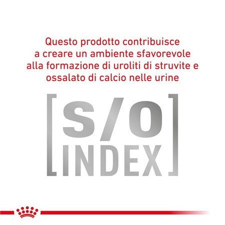 Royal Canin GASTRO INTESTINAL Hairball Veterinary 400 gr Crocchette per gatti in Gatti