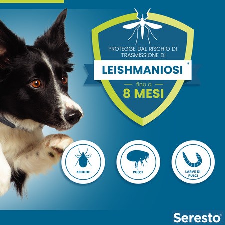 Collare Seresto Per Cani Fino A 8 kg Collare Antiparassitario in Cani