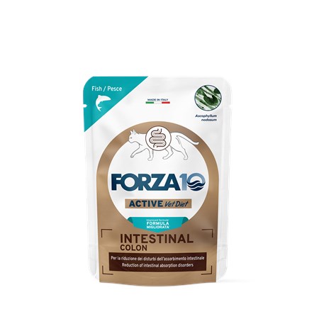 Forza 10 Active Intestinal Colon 80 Gr Mousse Bustina Umido Gatto in Gatti