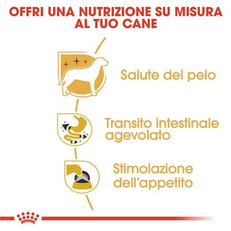 Royal Canin Chihuahua Mousse 85 Gr Bustina Umido Per Cane in Cani