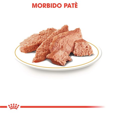 Royal Canin Poodle Mousse 85 Gr Bustina Umido Per Barboncino in Cani