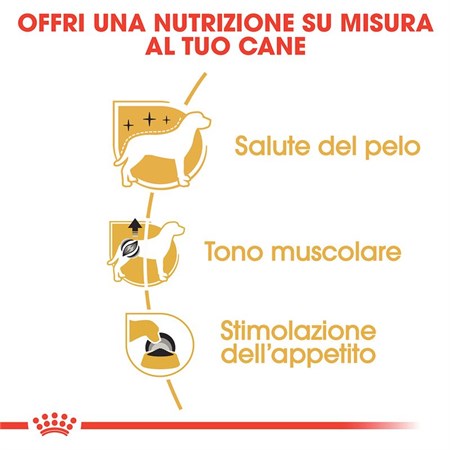 Royal Canin Poodle Mousse 85 Gr Bustina Umido Per Barboncino in Cani