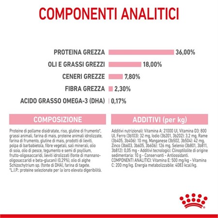 Royal Canin Kitten 4 kg Cibo Per Gatti Cuccioli in Gatti